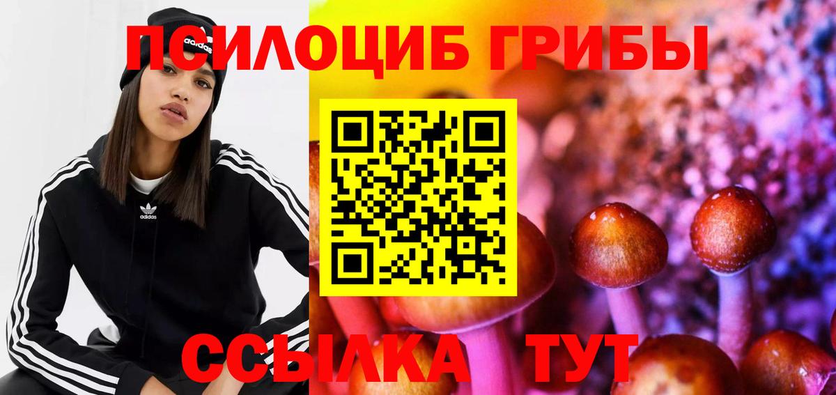 Галлюциногенные грибы Psilocybine cubensis  Вход с VPN  Псилоцибиновые грибы Psilocybe  Котельники 